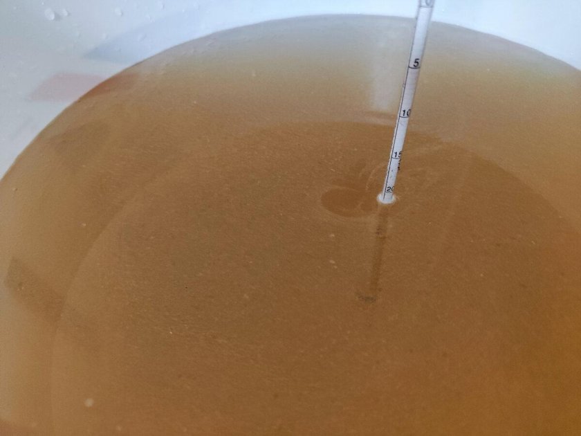 Сахарная брага