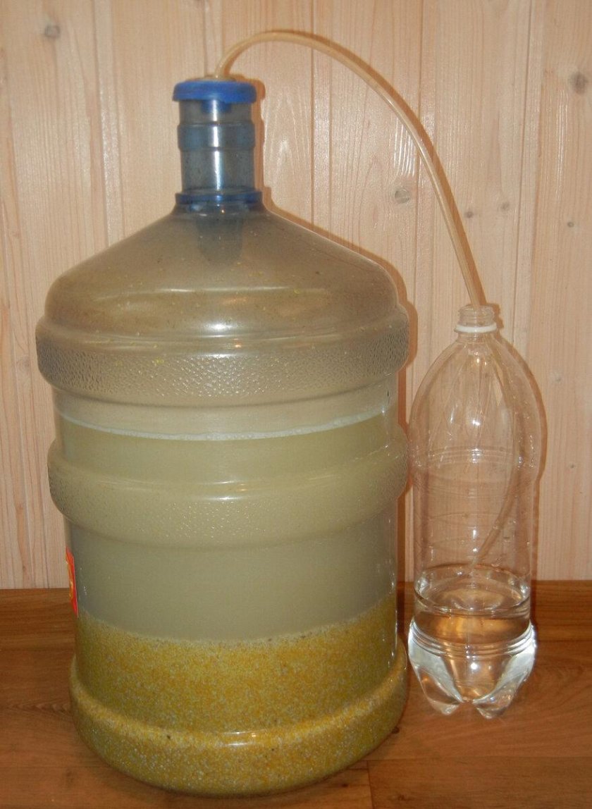 Брага для самогона