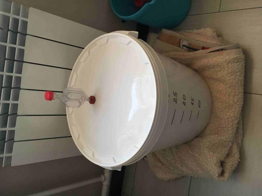 Ёмкость для брожения с гидрозатвором и краном 30 л