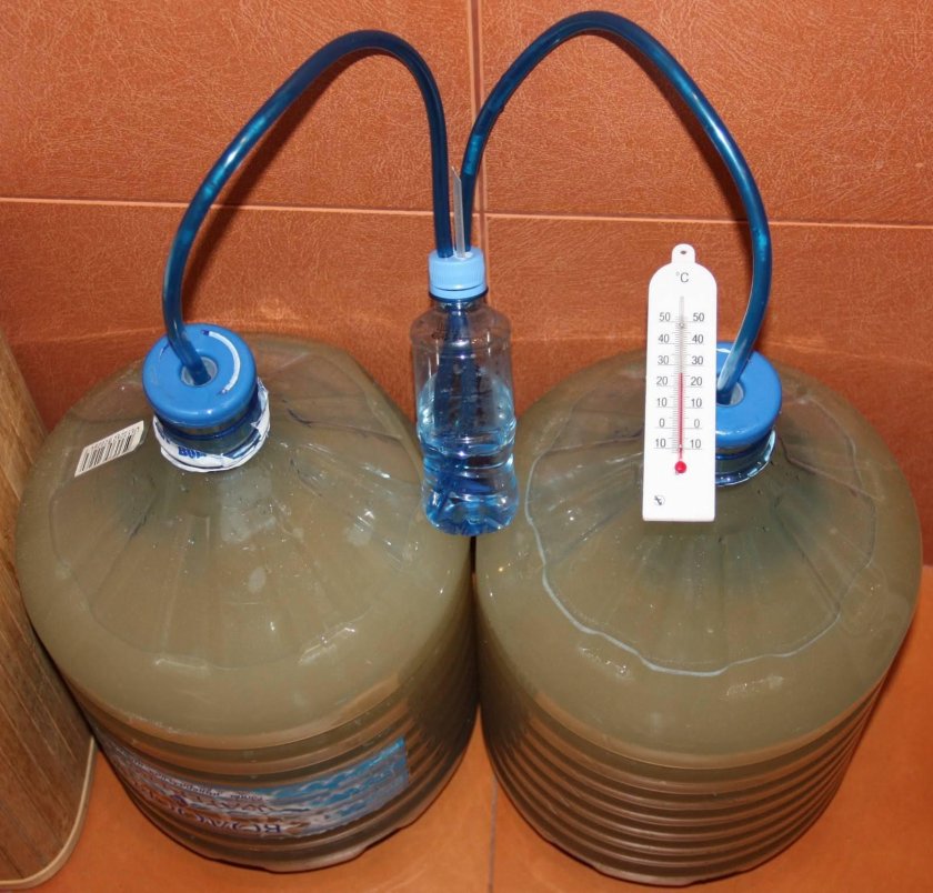 Гидрозатвор для браги