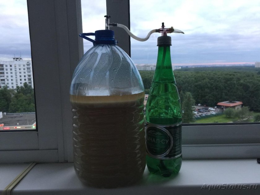 Пиво в домашних условиях