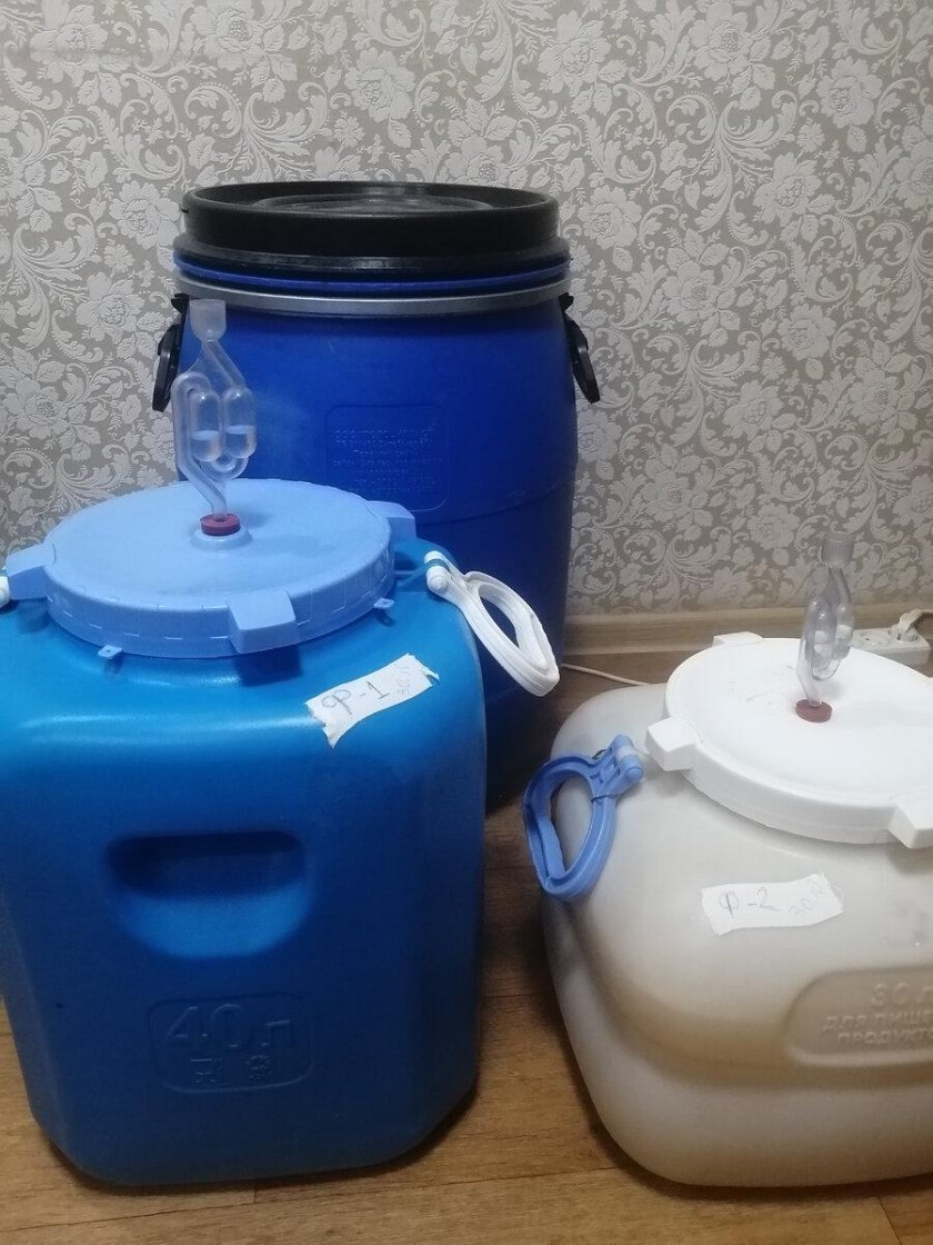 Разбраживание дрожжей для пива