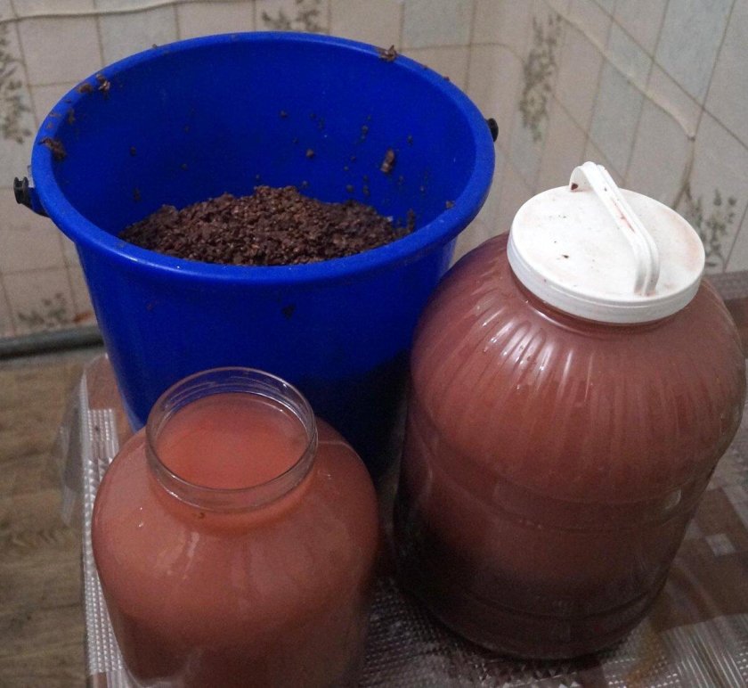 Браги Боддасон