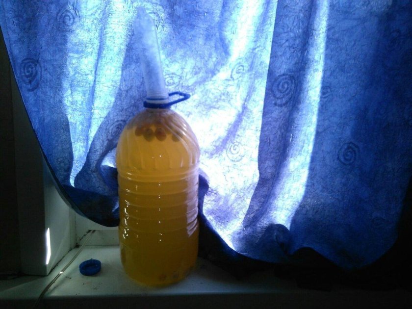 Подсолнечное нерафинированное масло