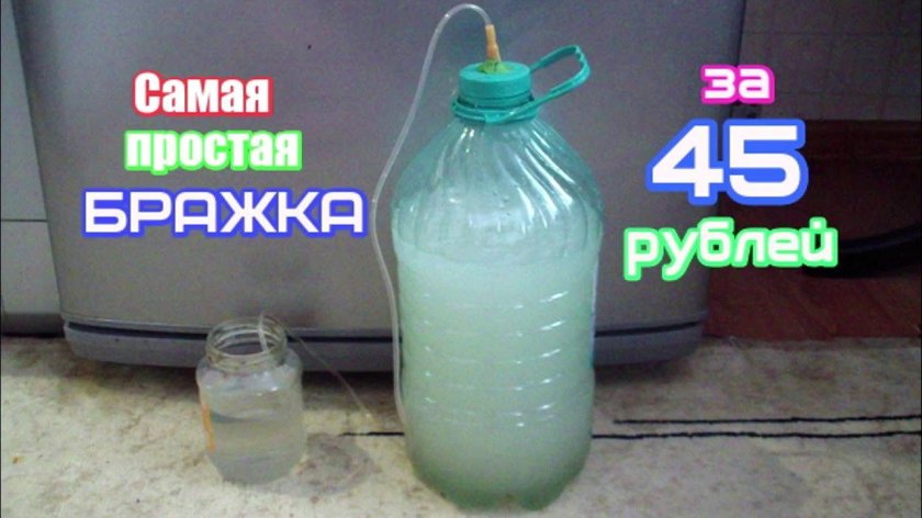 Как сделать вкусную брагу для питья