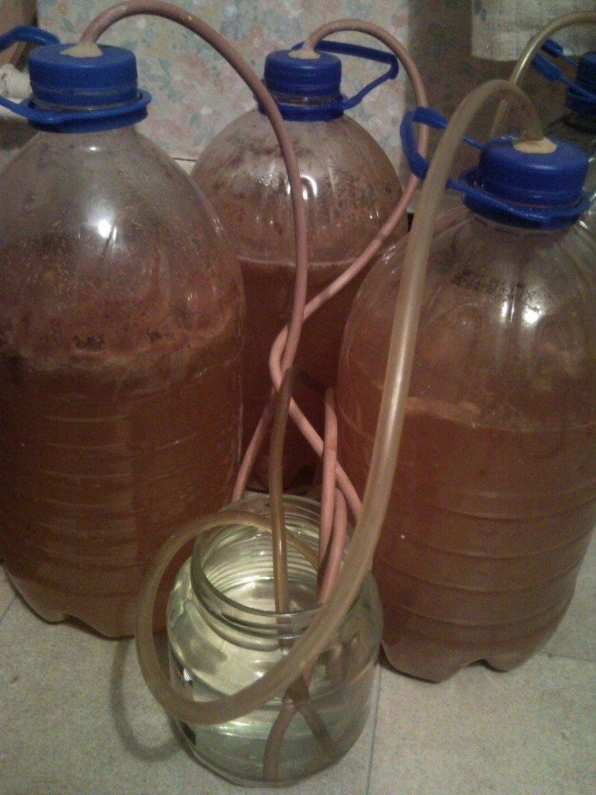 Гидрозатвор для браги