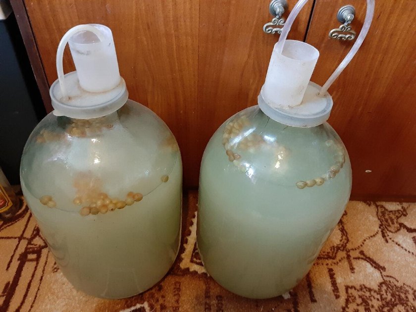 Гидрозатвор для браги