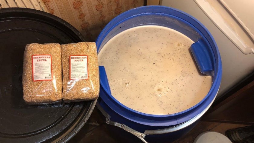 Дрожжи для пшеничной браги