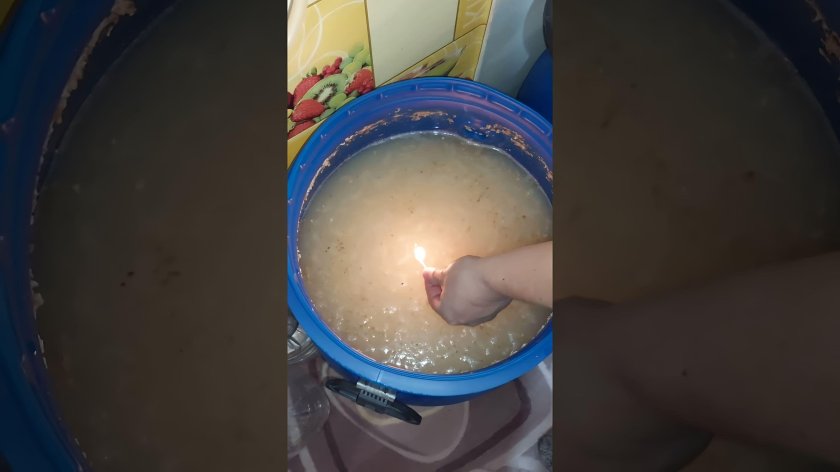 Перебродившая Брага