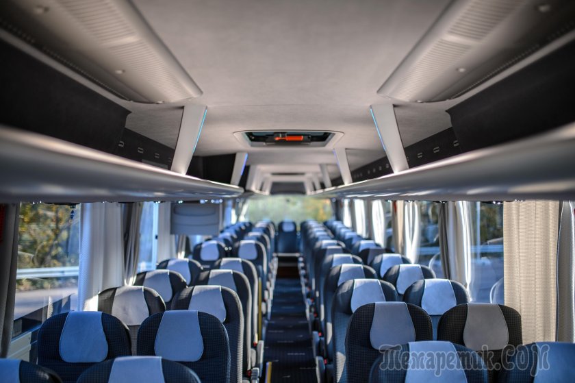 Ман Лионс Коач салон