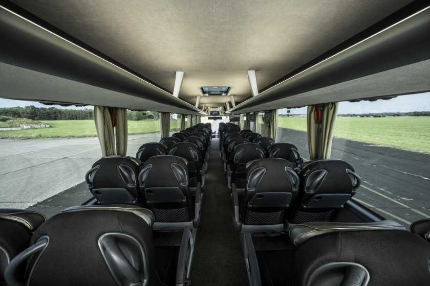 Man Lions coach 2022