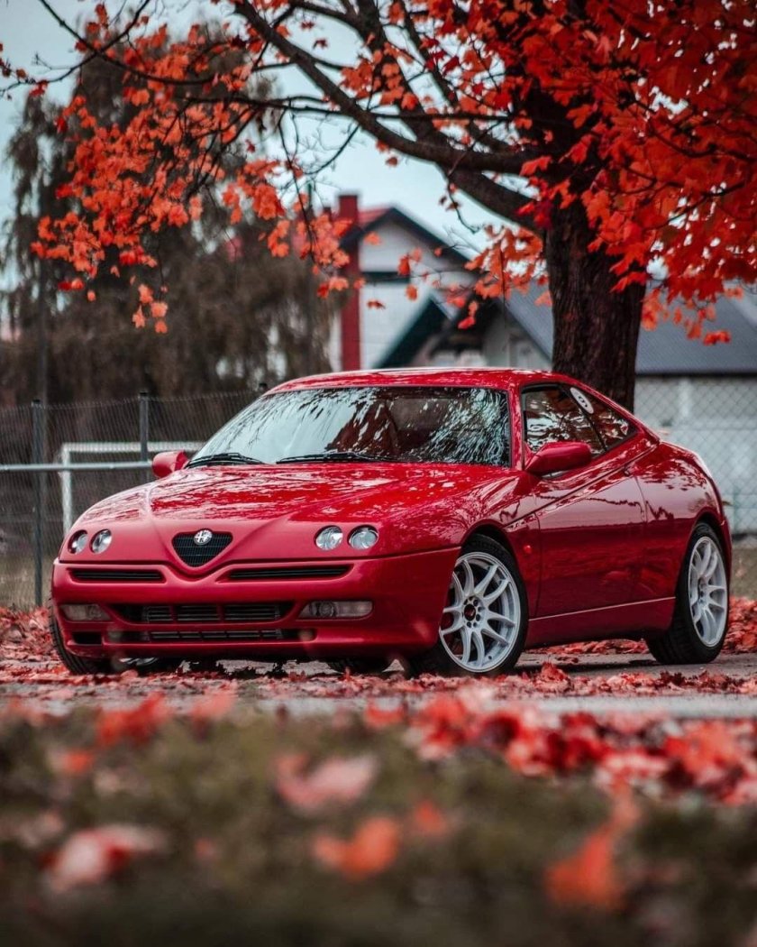 Alfa romeo gtv 916