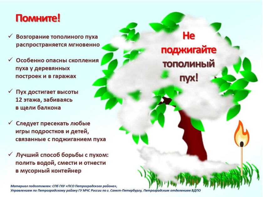 Дети поджигают Тополиный пух