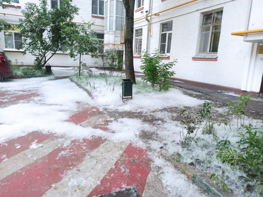Тополиный пух в Москве