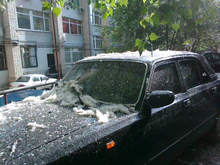 Тополиный пух в машине