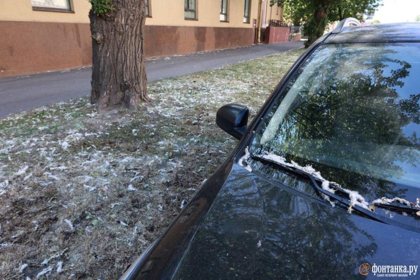 Автомобиль Тополиный пух