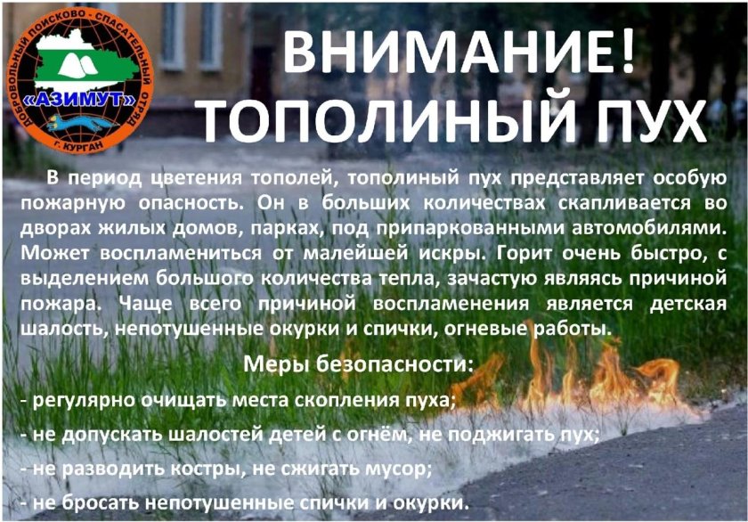 Профилактика возгорания тополиного пуха