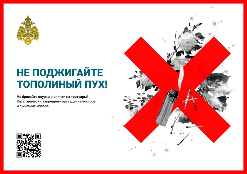 Не поджигайте Тополиный пух