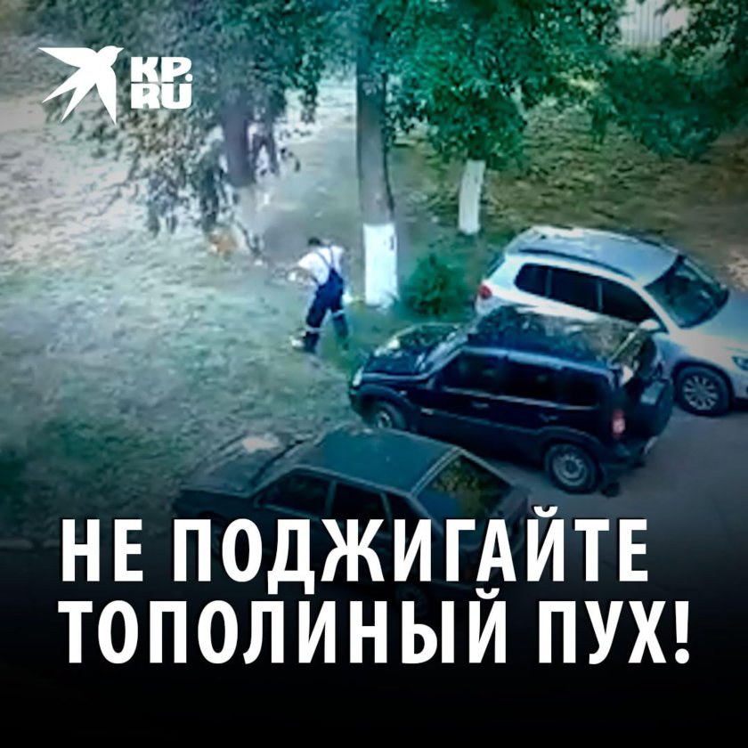 Тополиный пух жара июль