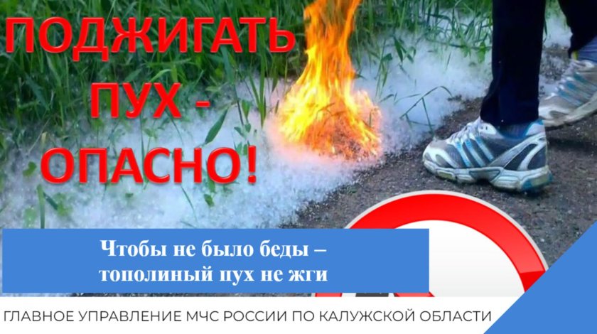 Дети поджигают Тополиный пух