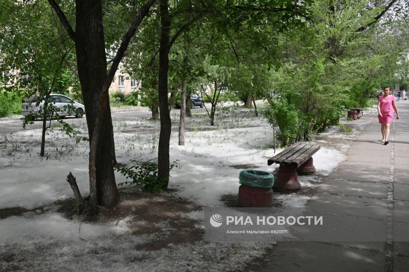 Тополиный пух жара июль