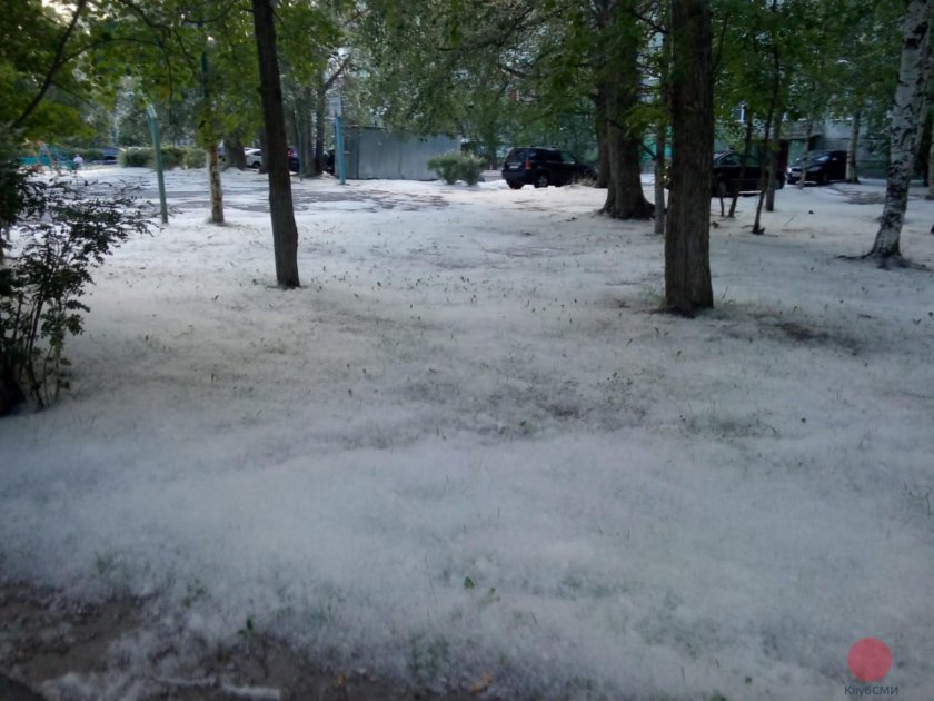 Архангельск Тополиный пух
