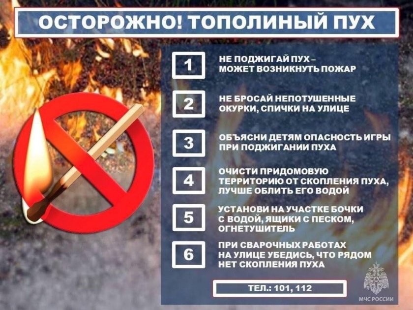 Тополиный пух опасность пожара