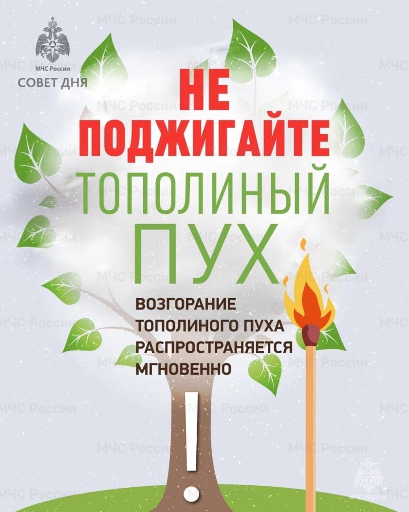 Памятка Тополиный пух