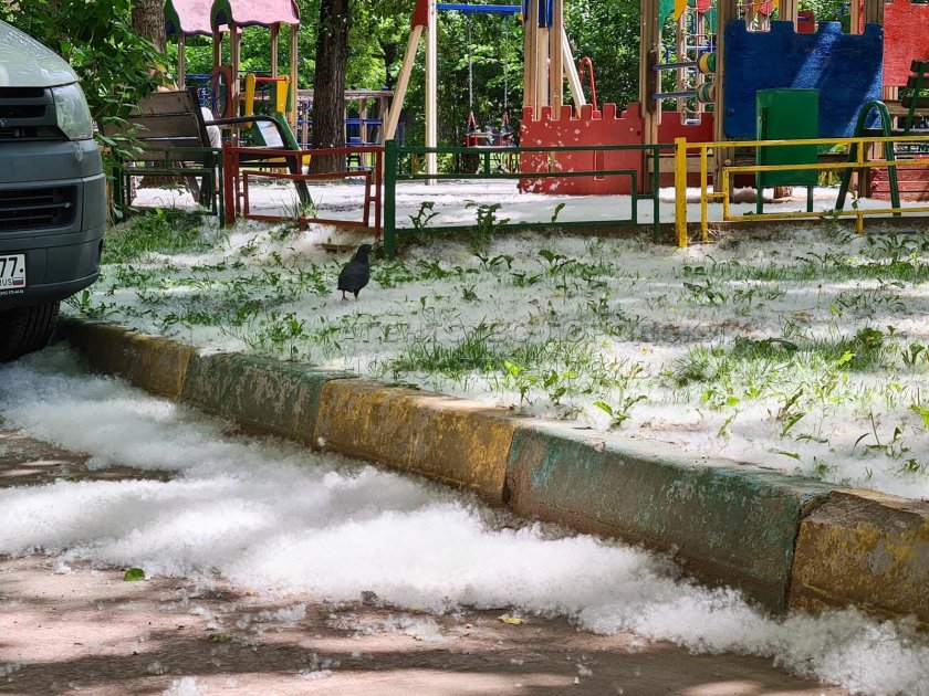 Тополиный пух в Москве