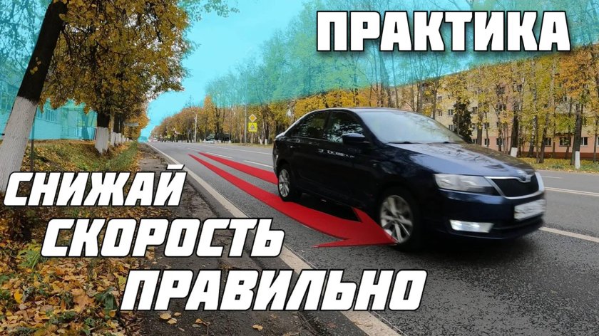 День автоподборщика