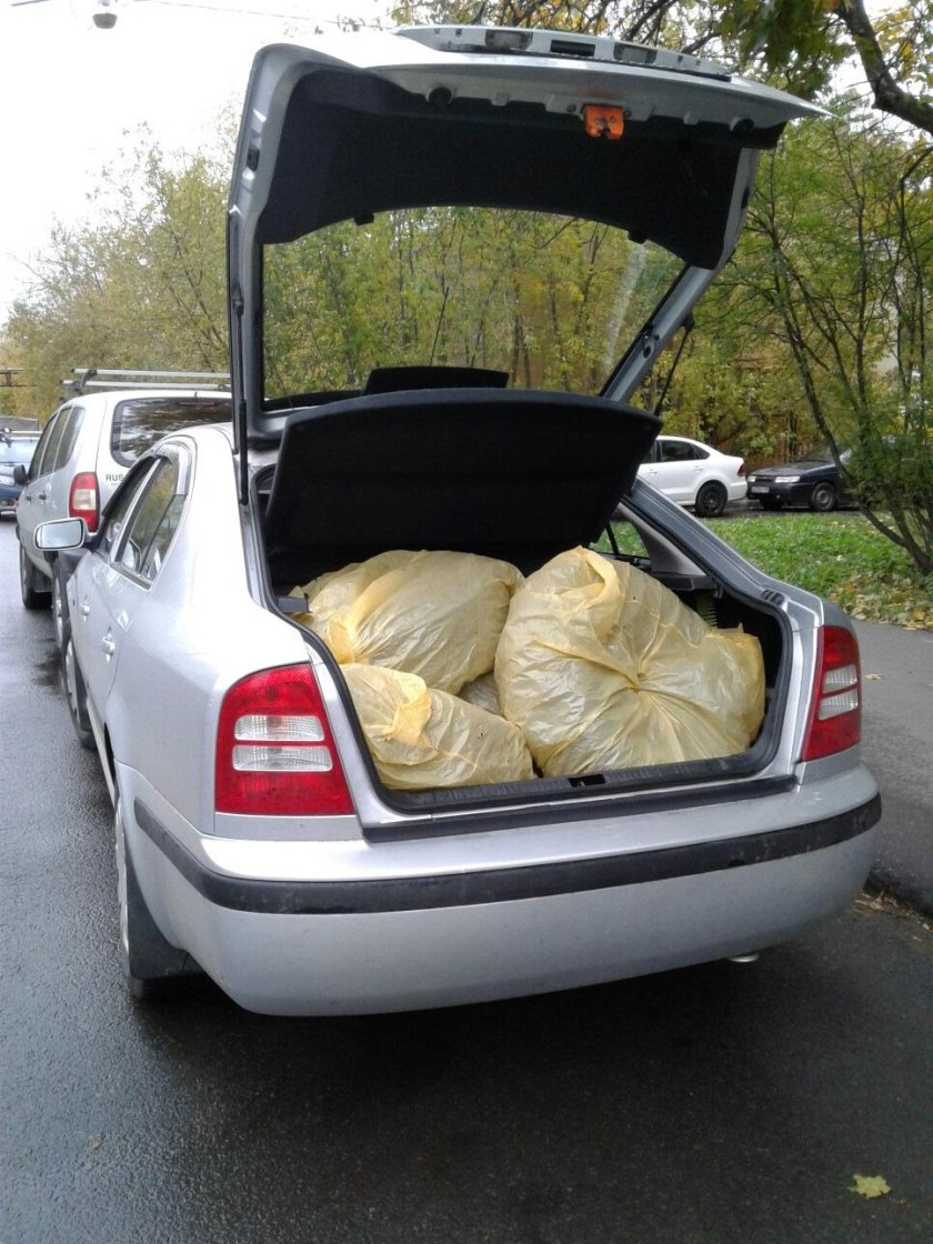 Skoda Octavia, 2010 багажник