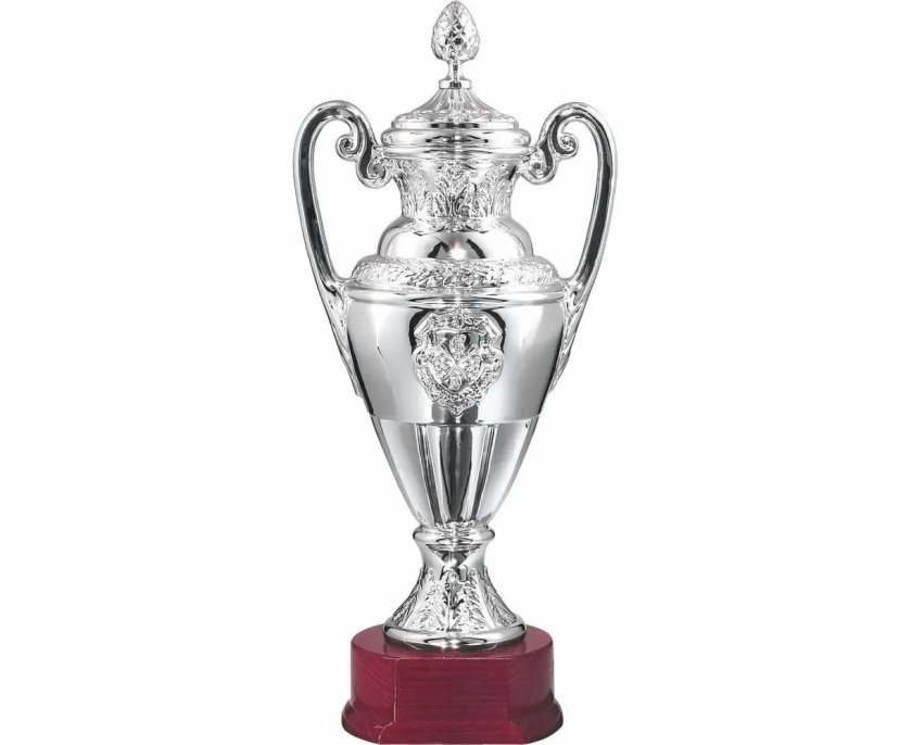 Кубок франции трофей