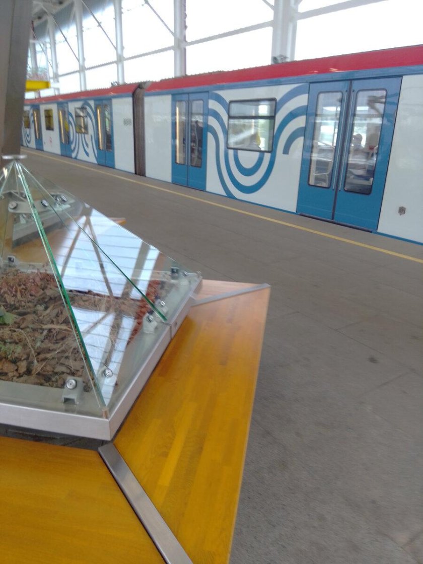 Москва вагон метро