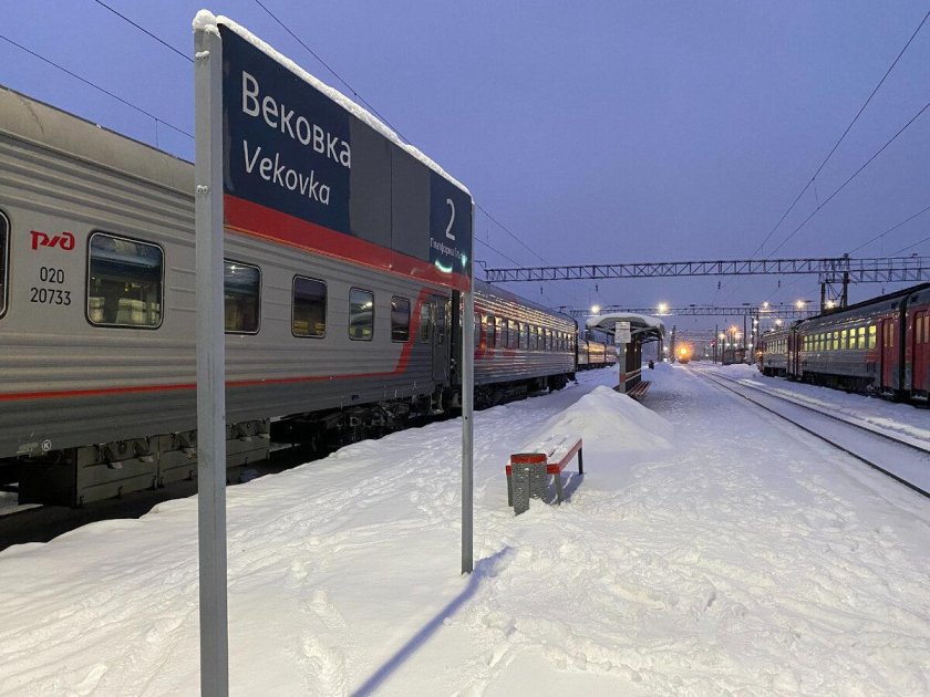 Станция Вековка