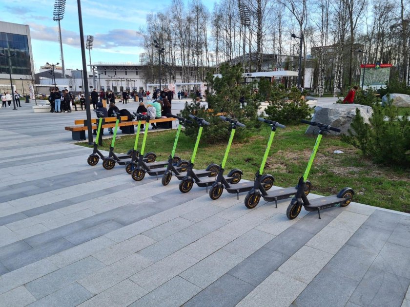 Самокаты в парках