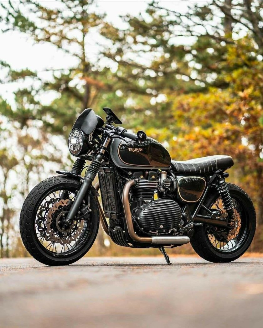 Triumph street twin