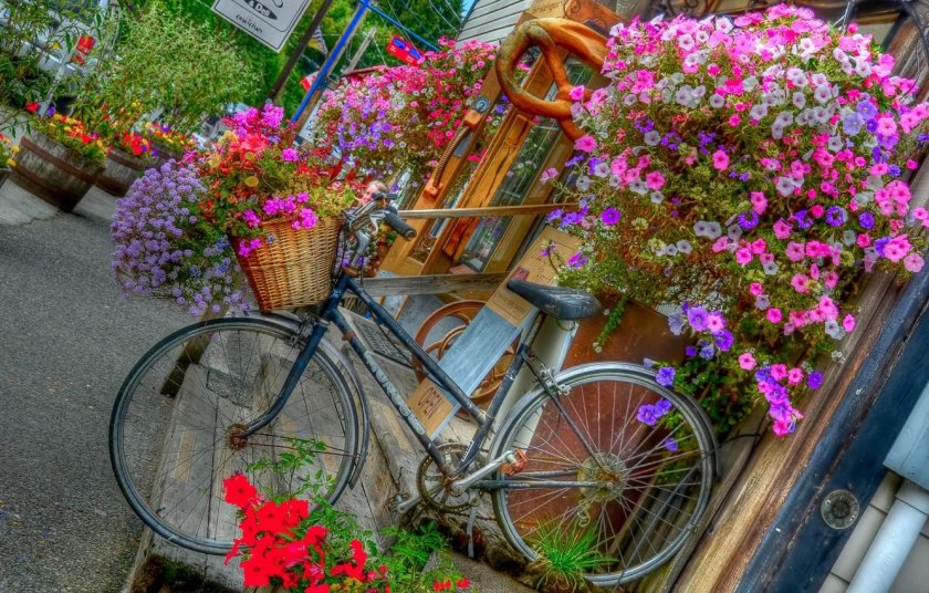 Велосипед цветы