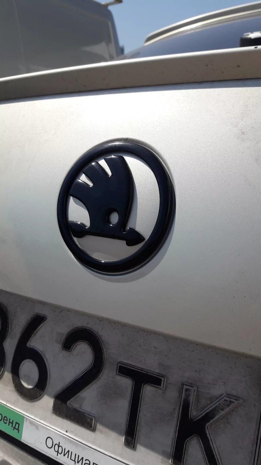 Шкода Практик 2008 шильдик
