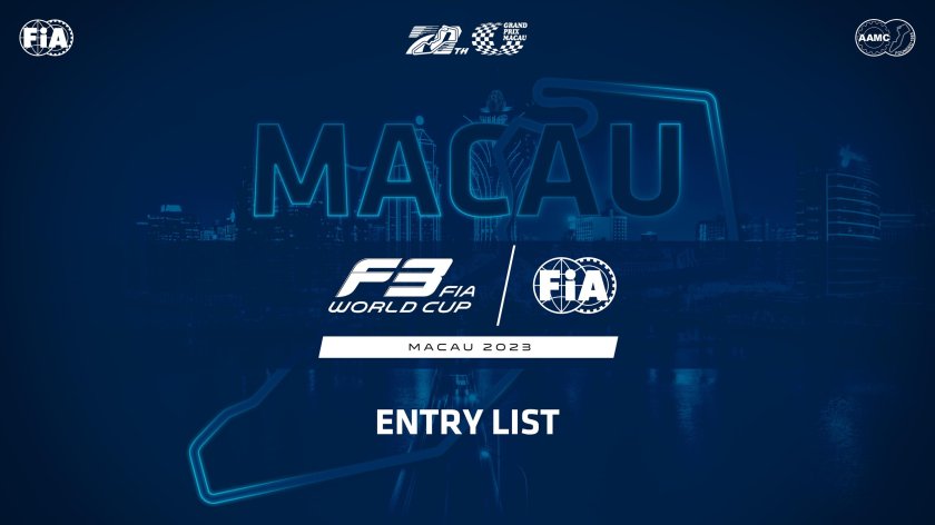 Fia world endurance championship