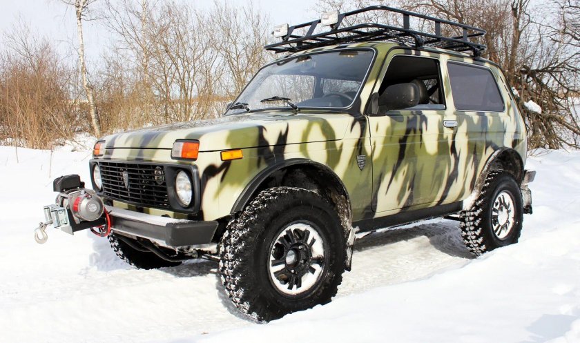 Нива бронто рысь