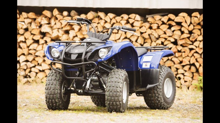 Квадроцикл Grizzly 125