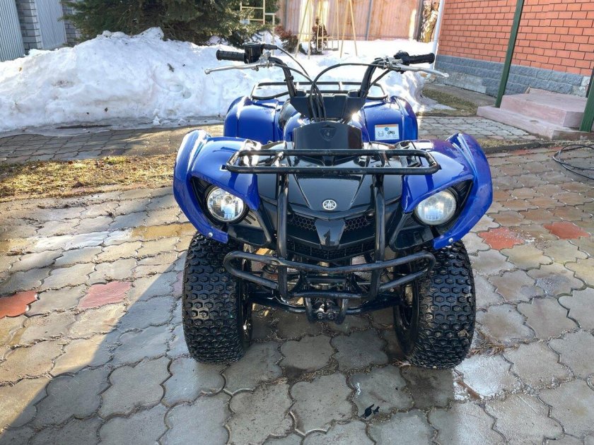 Yamaha grizzly 125