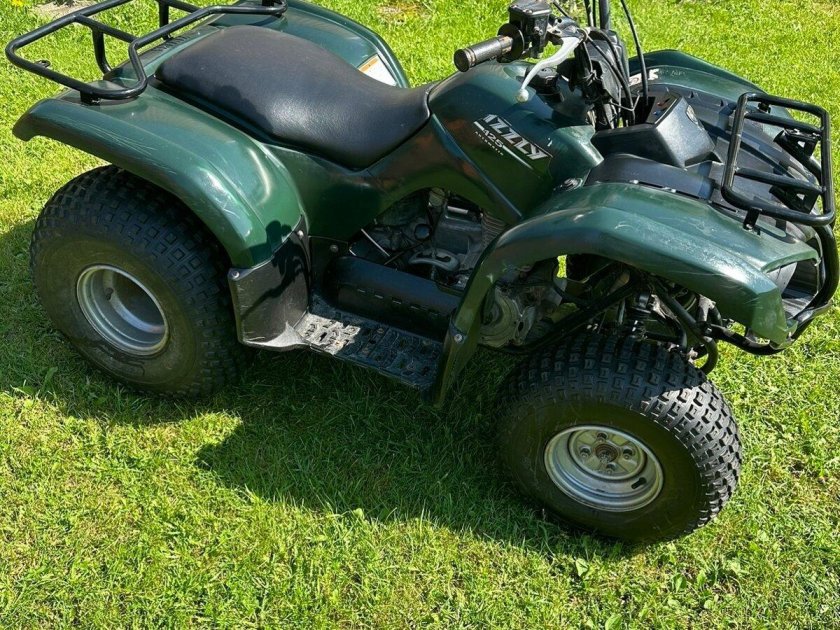 Yamaha grizzly 125