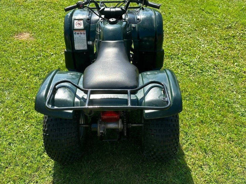 Yamaha grizzly