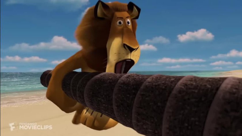 Мадагаскар 2005 Мелман