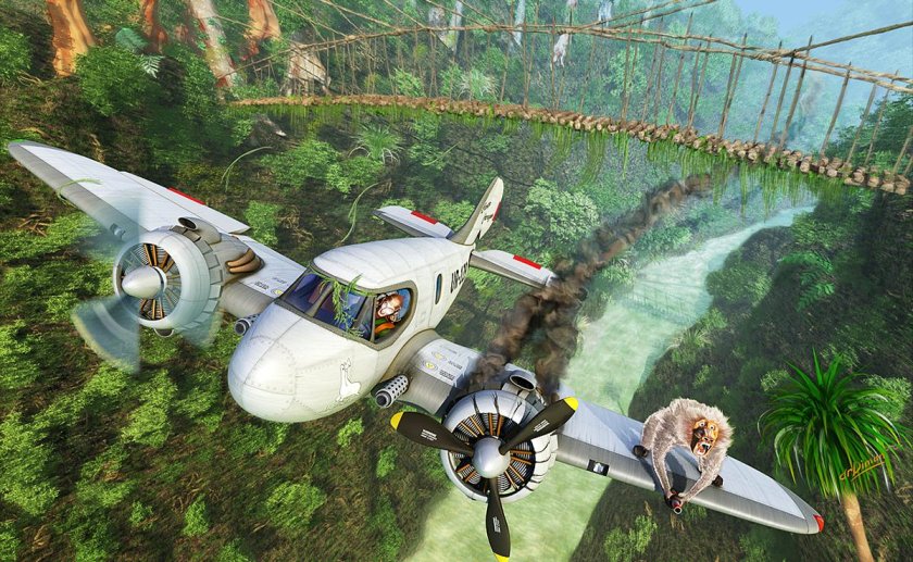 Мадагаскар 2 самолет