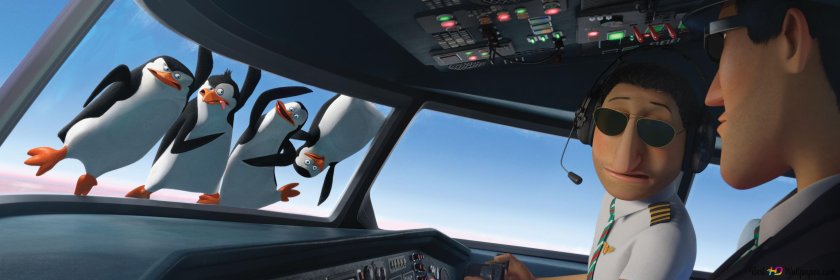 Пингвины из Мадагаскара в самолете