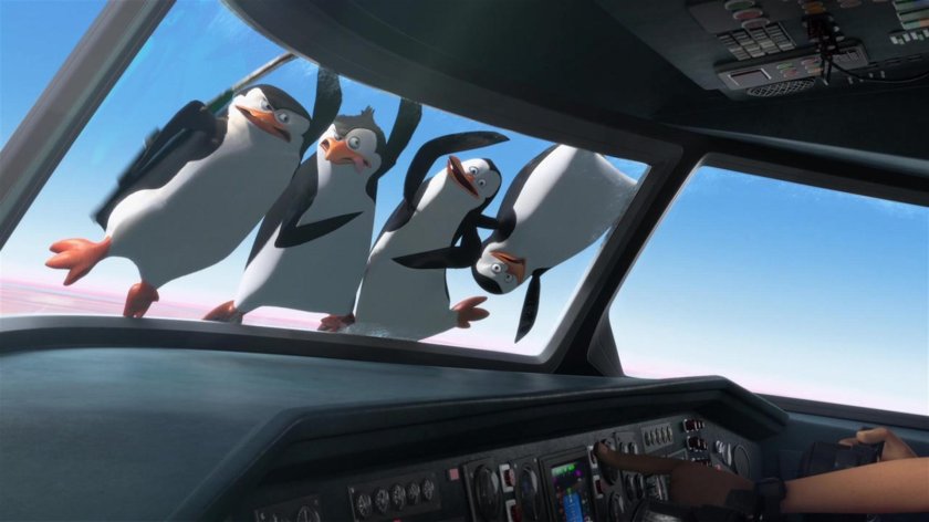 Пингвины из Мадагаскара