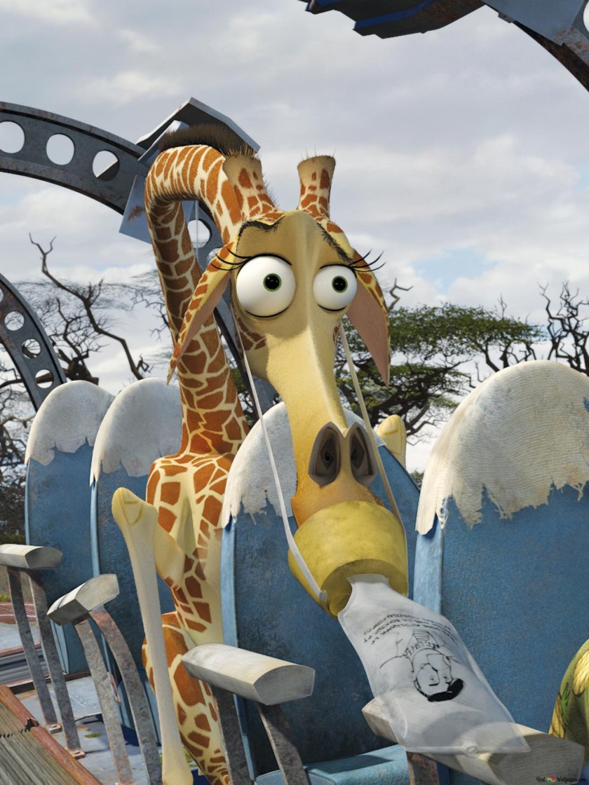 Мелман Мадагаскар