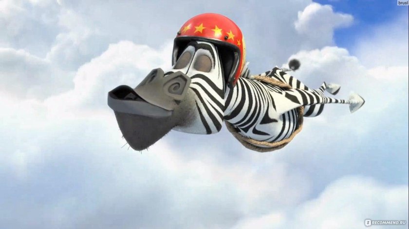 Мадагаскар Зебра Марти